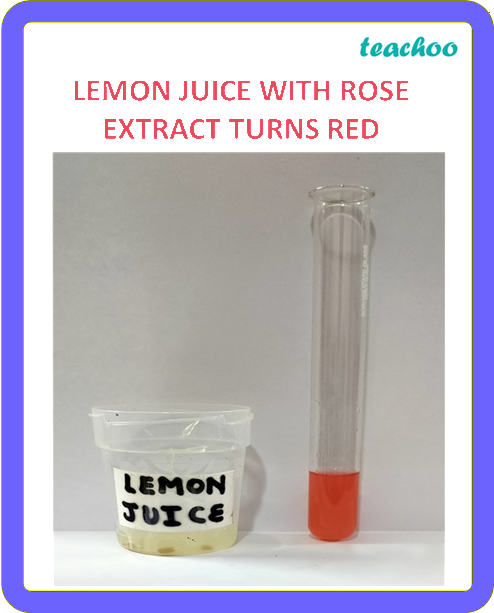 part 2 - 2.1.2 Red Rose as an Indicator - Concepts - Chapter 2 Class 7 - Exploring Substances: Acidic, Basic, and Neutral - Class 7