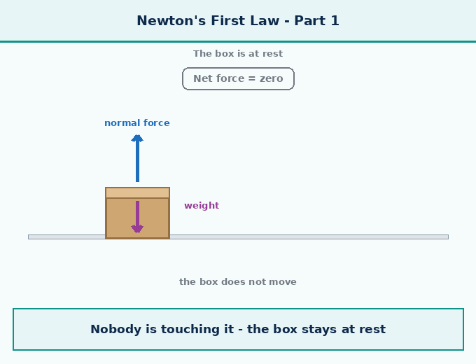 part 2 - 6.4 Newton's First Law of Motion - Concepts - Chapter 6 - How Forces Affect Motion (Exploration) - Class 9 (Exploration)