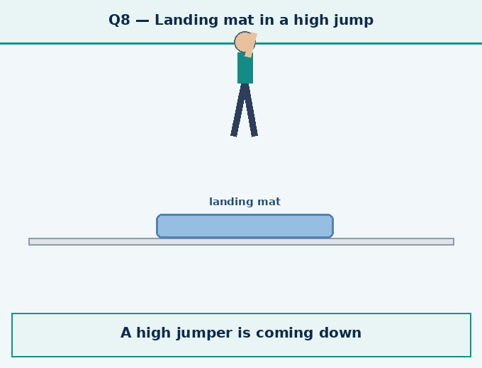 Question 8 — During a high jump - How Forces Affect Moti - [Teachoo] - Questions at the end of the chapter