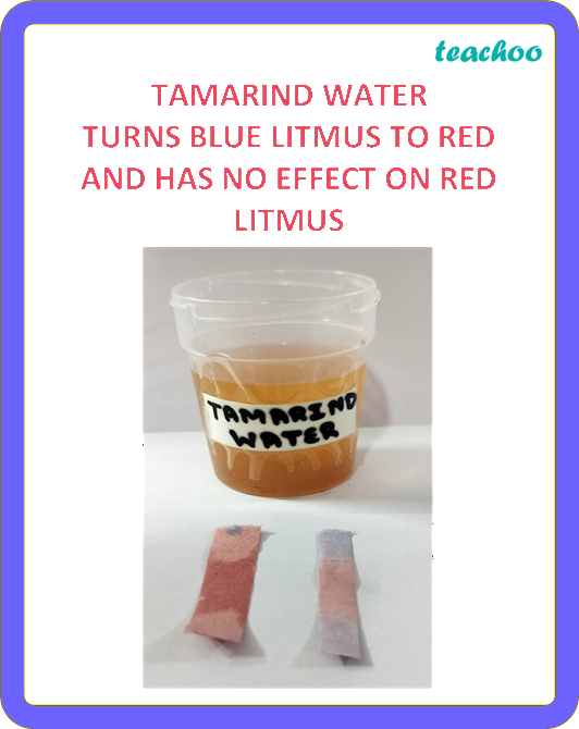 part 10 - 2.1.1 Litmus as an Indicator - Concepts - Chapter 2 Class 7 - Exploring Substances: Acidic, Basic, and Neutral - Class 7