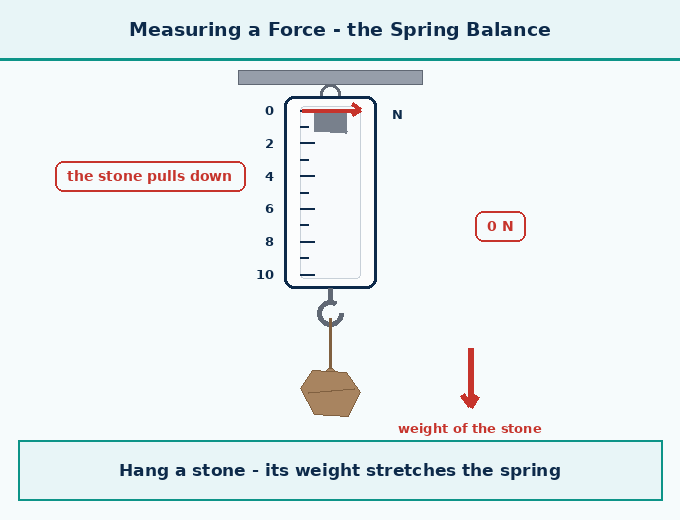 6.1.1 Measuring the Magnitude of - How Forces Affect Moti - [Teachoo] - Concepts