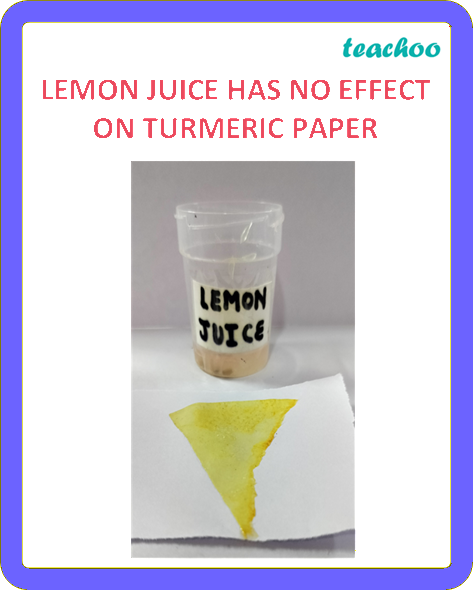 part 7 - 2.1.3 Turmeric as an Indicator - Concepts - Chapter 2 Class 7 - Exploring Substances: Acidic, Basic, and Neutral - Class 7