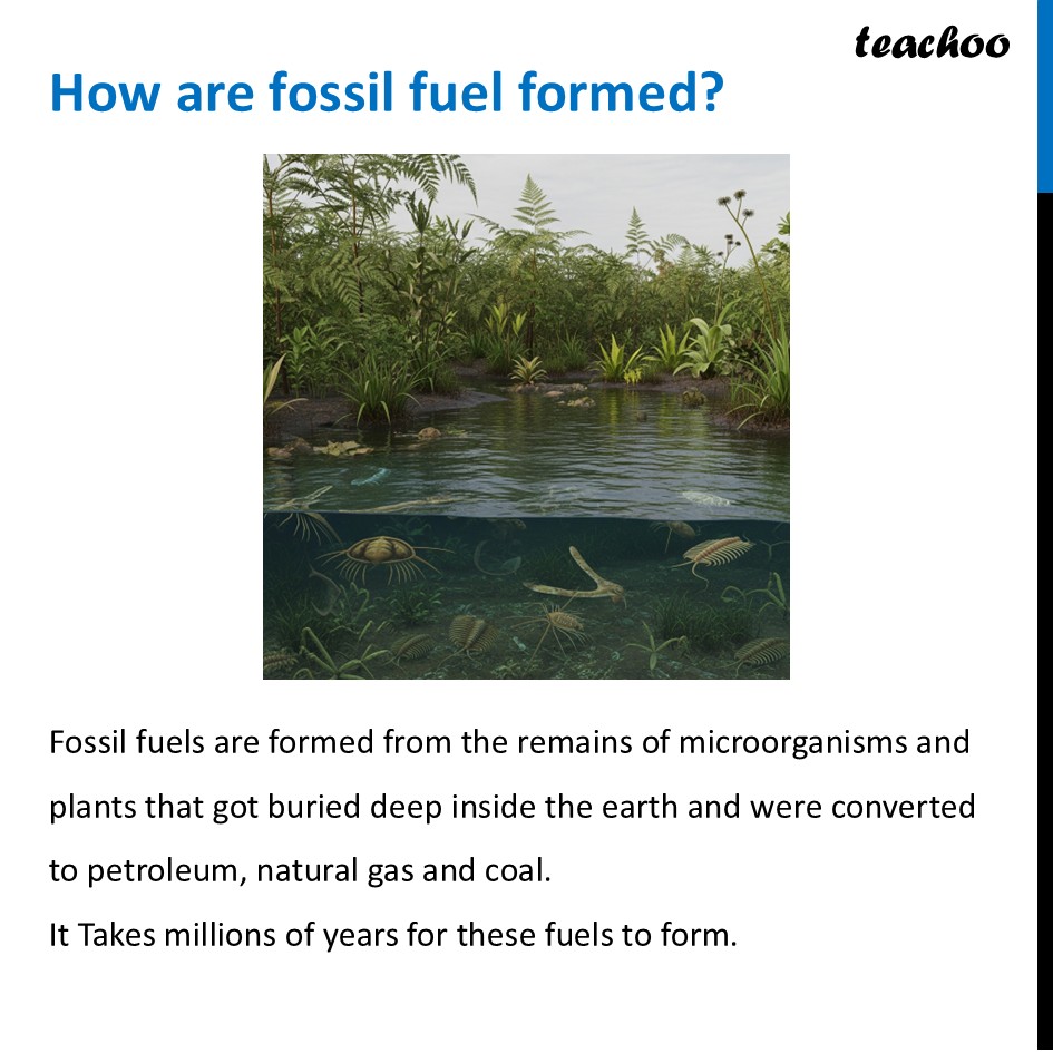 part 3 - Fossil Fuels - Concepts - Chapter 11 Class 6 - Nature's Treasures (Curiosity) - Class 6