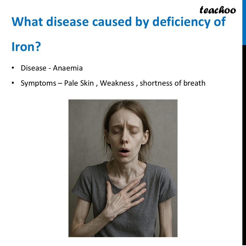part 33 - Different Components of Food - Concepts - Chapter 3 Class 6 - Mindful Eating: A path to healthy body (Curiosity) - Class 6