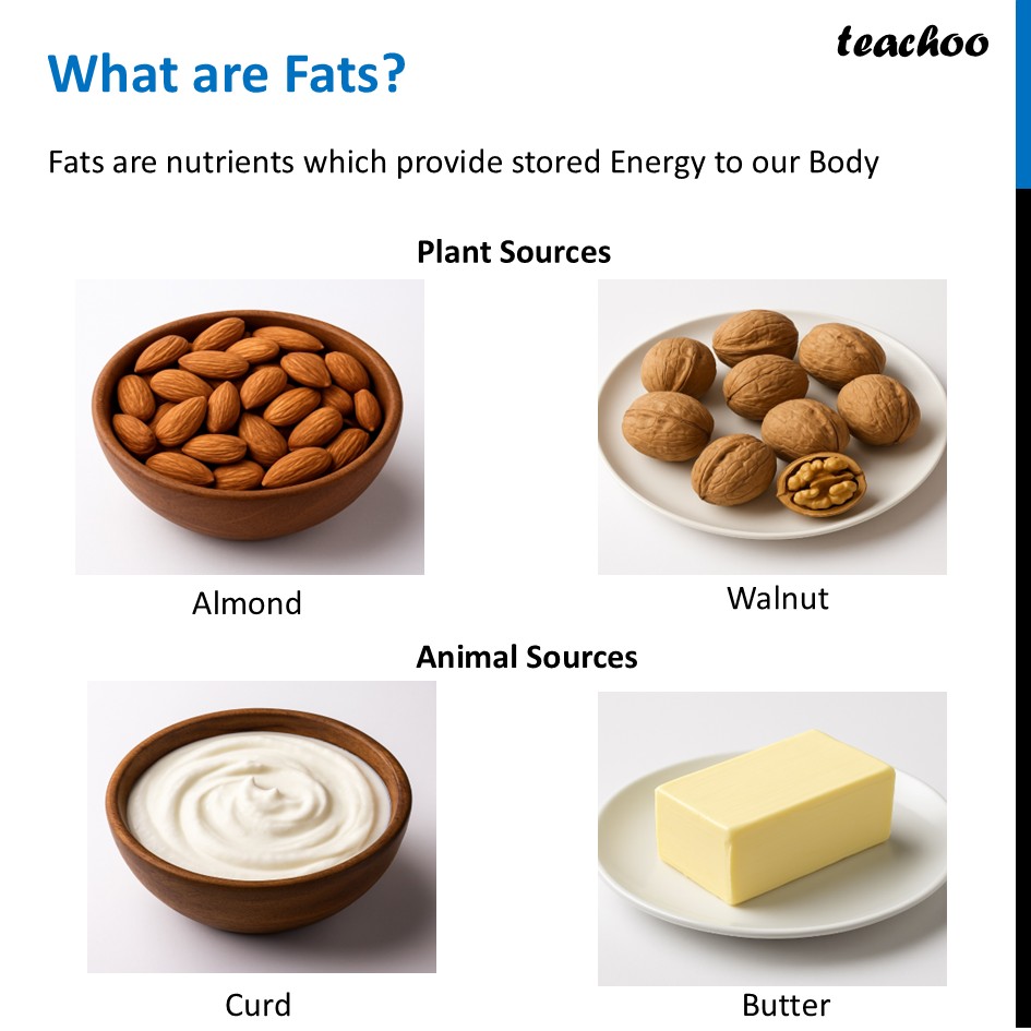 part 8 - Different Components of Food - Concepts - Chapter 3 Class 6 - Mindful Eating: A path to healthy body (Curiosity) - Class 6