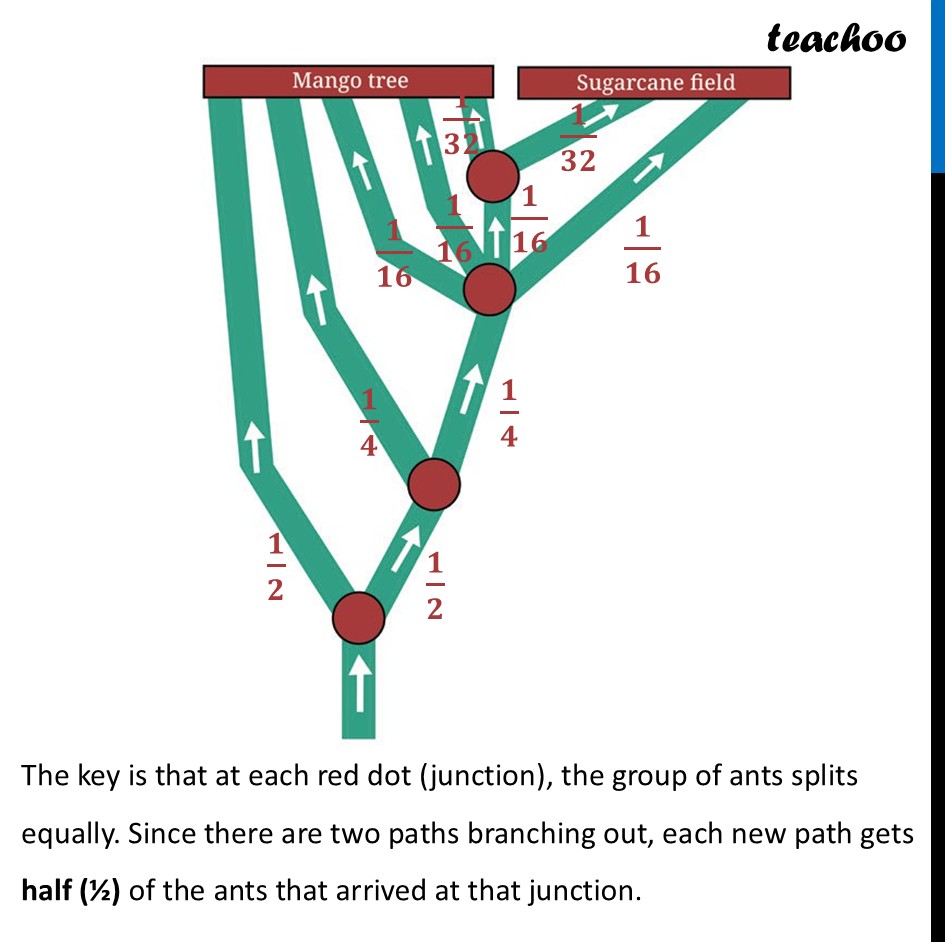 part 2 - Question 11 - Figure it out - Page 196 to 198 - Chapter 8 Class 7 - Working with Fractions (Ganita Prakash) - Class 7 (Ganita Prakash 1, 2 & old NCERT)