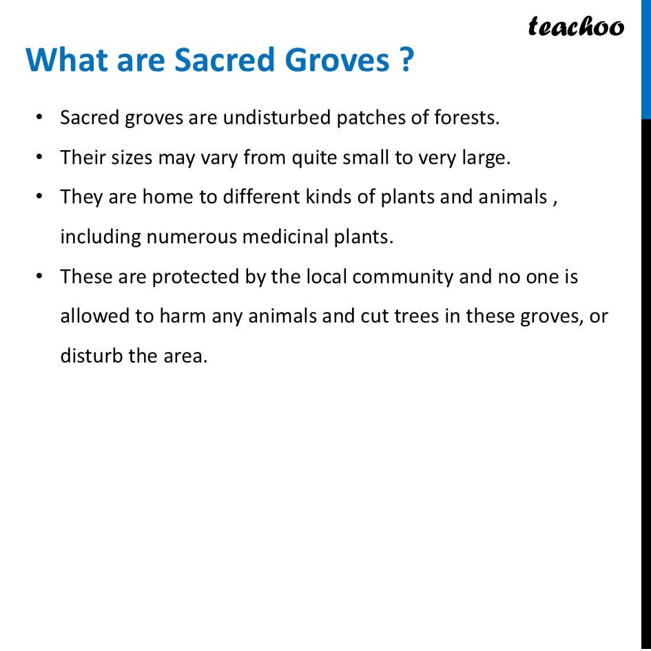 part 4 - Why should we protect biodiversity? - Concepts - Chapter 2 Class 6 - Diversity in the living world (Curiosity) - Class 6