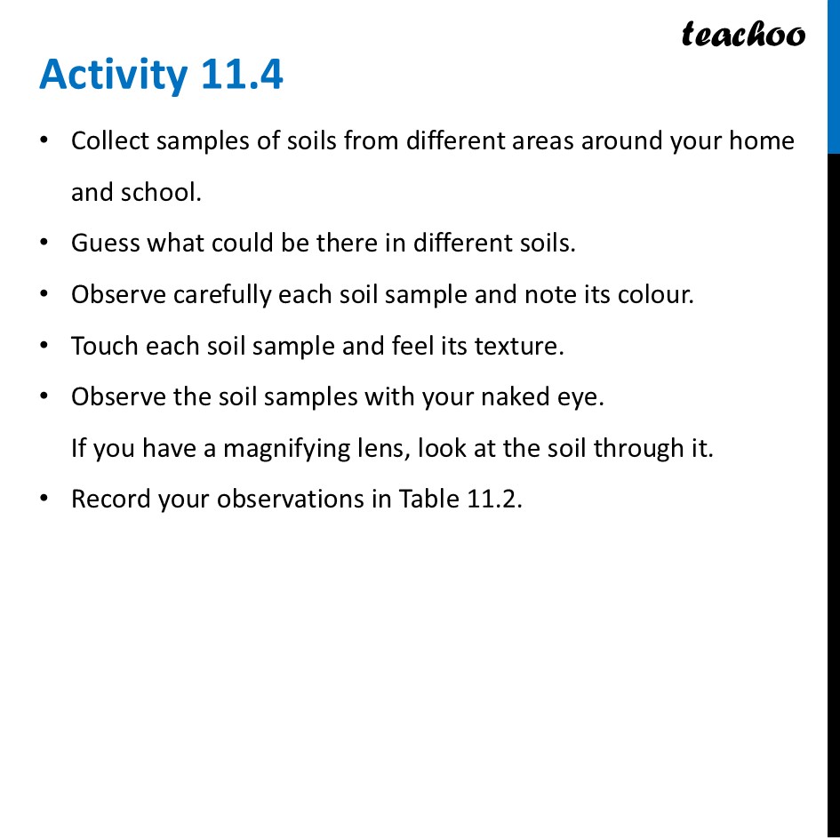 part 16 - Forests - Concepts - Chapter 11 Class 6 - Nature's Treasures (Curiosity) - Class 6