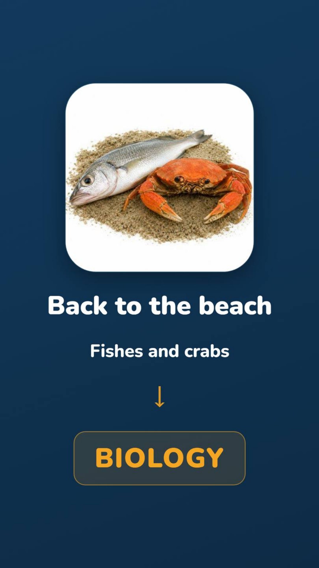 023- Beach → Biology.jpg