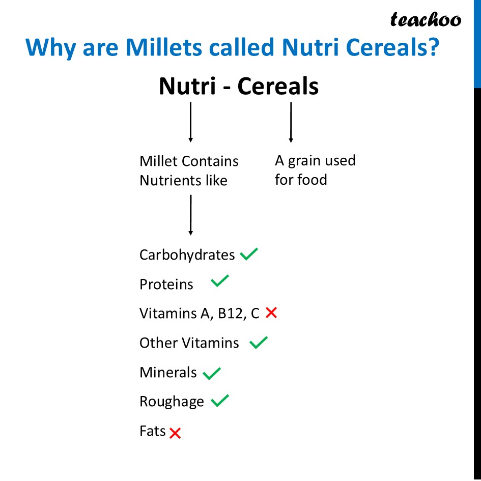 part 3 - Millets - Concepts - Chapter 3 Class 6 - Mindful Eating: A path to healthy body (Curiosity) - Class 6