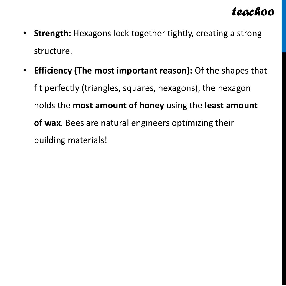 part 2 - Why do bees create hexagonal honeycombs? - Tiling the Entire Plane - Chapter 6 Class 7 - Constructions and Tilings (Ganita Prakash II) - Class 7 (Ganita Prakash 1, 2 & old NCERT)