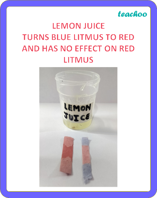 part 7 - 2.1.1 Litmus as an Indicator - Concepts - Chapter 2 Class 7 - Exploring Substances: Acidic, Basic, and Neutral - Class 7