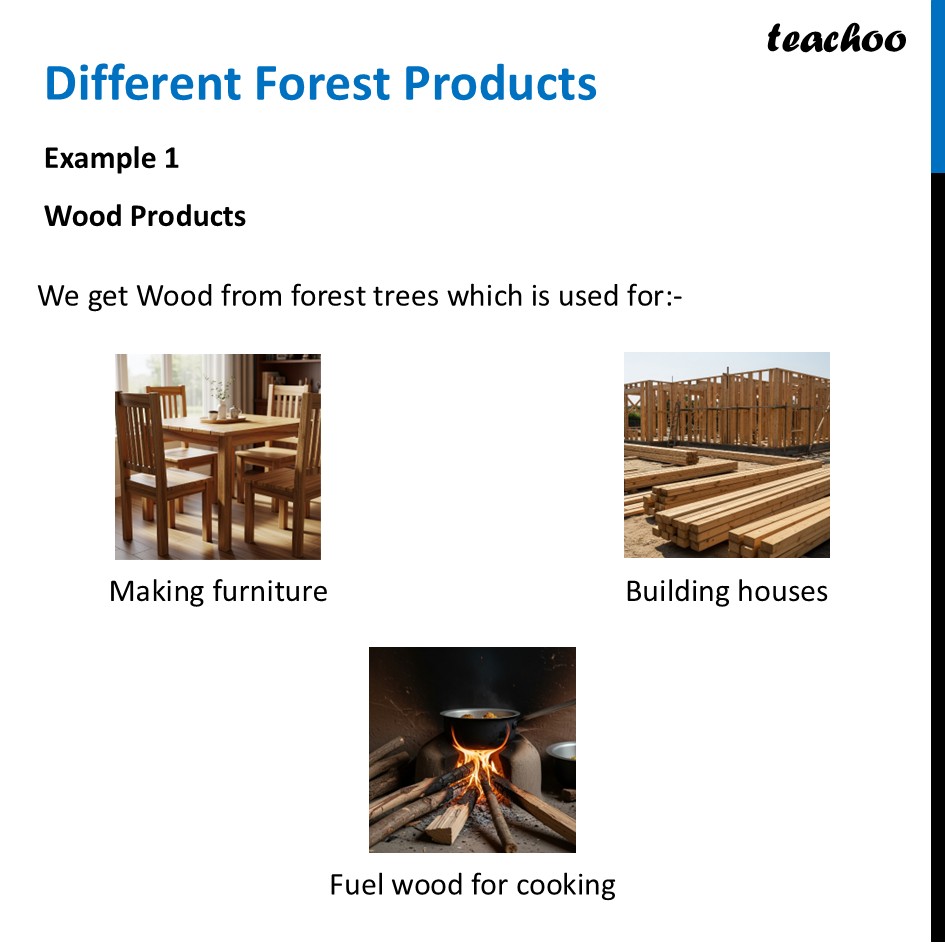 part 2 - Forests - Concepts - Chapter 11 Class 6 - Nature's Treasures (Curiosity) - Class 6