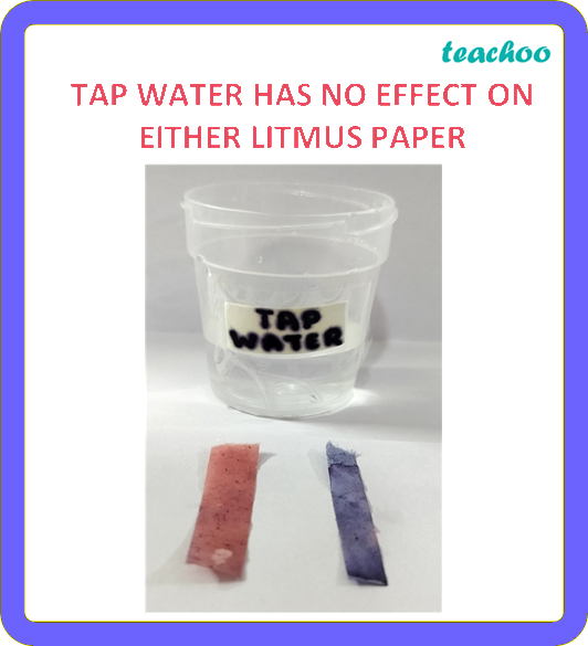 part 14 - 2.1.1 Litmus as an Indicator - Concepts - Chapter 2 Class 7 - Exploring Substances: Acidic, Basic, and Neutral - Class 7