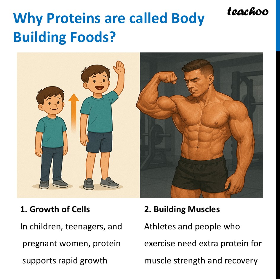 part 14 - Different Components of Food - Concepts - Chapter 3 Class 6 - Mindful Eating: A path to healthy body (Curiosity) - Class 6