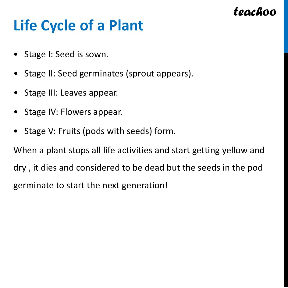 Life Cycle of a Plant [Class 6 Chapter 10 Living Creatures] Curiosity - Concepts