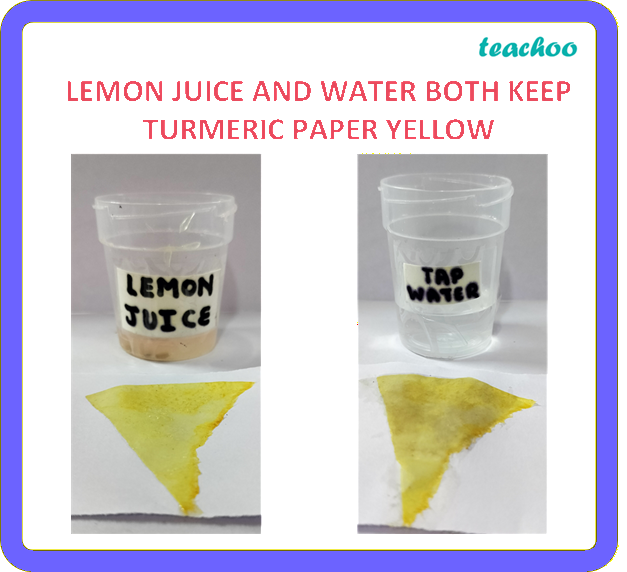 part 3 - 2.1.3 Turmeric as an Indicator - Concepts - Chapter 2 Class 7 - Exploring Substances: Acidic, Basic, and Neutral - Class 7