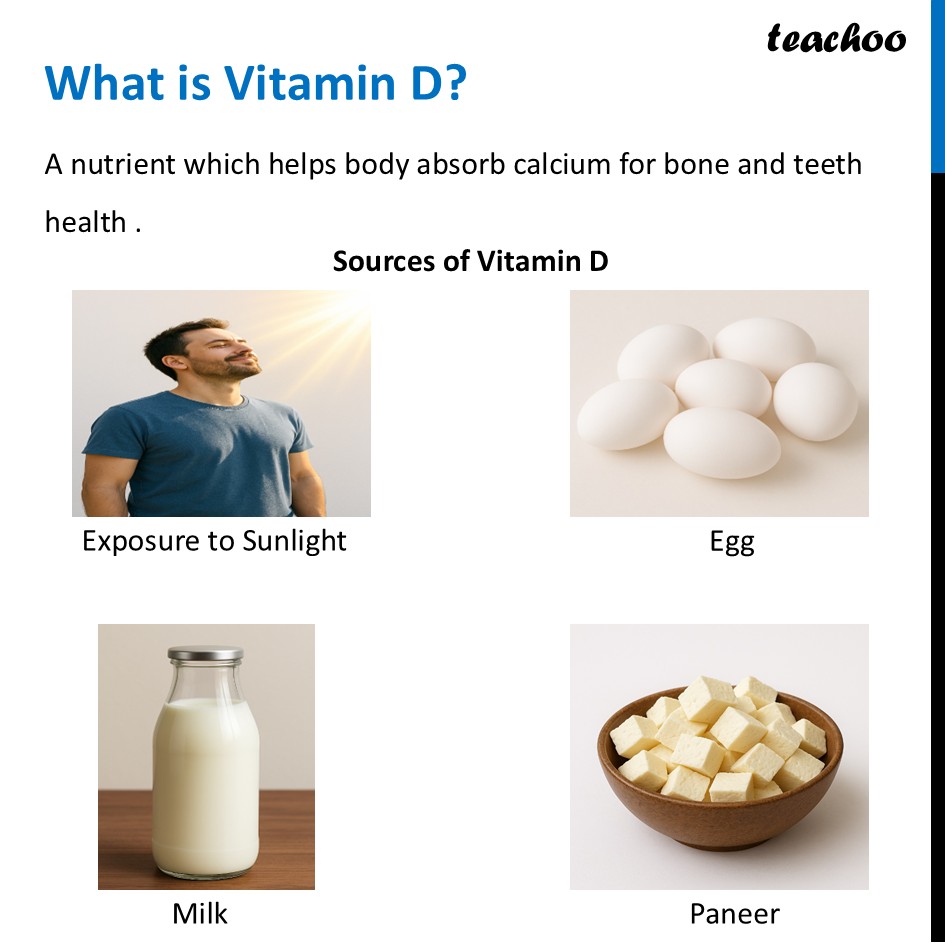 part 25 - Different Components of Food - Concepts - Chapter 3 Class 6 - Mindful Eating: A path to healthy body (Curiosity) - Class 6