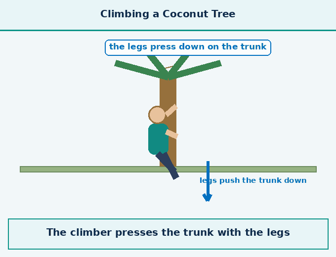 part 6 - 6.6 Newton's Third Law of Motion - Concepts - Chapter 6 - How Forces Affect Motion (Exploration) - Class 9 (Exploration)