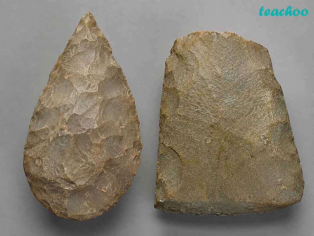 Who was the first to move out of - Early Humans and Begin - [Teachoo] - Concepts