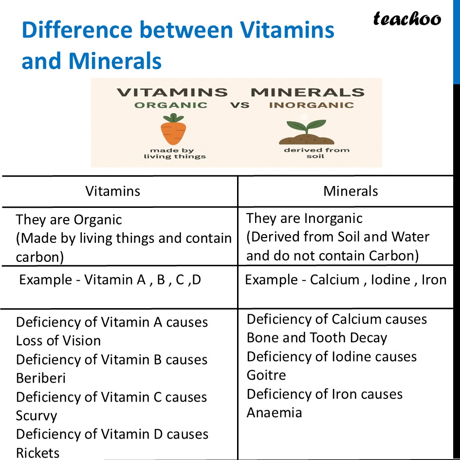 part 35 - Different Components of Food - Concepts - Chapter 3 Class 6 - Mindful Eating: A path to healthy body (Curiosity) - Class 6