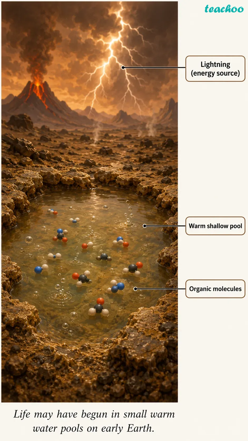 part 2 - Introduction - Concepts - Chapter 2 - Cell: The Building Block of Life (Exploration) - Class 9 (Exploration)