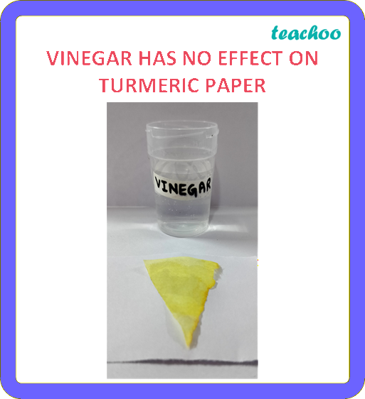 part 11 - 2.1.3 Turmeric as an Indicator - Concepts - Chapter 2 Class 7 - Exploring Substances: Acidic, Basic, and Neutral - Class 7