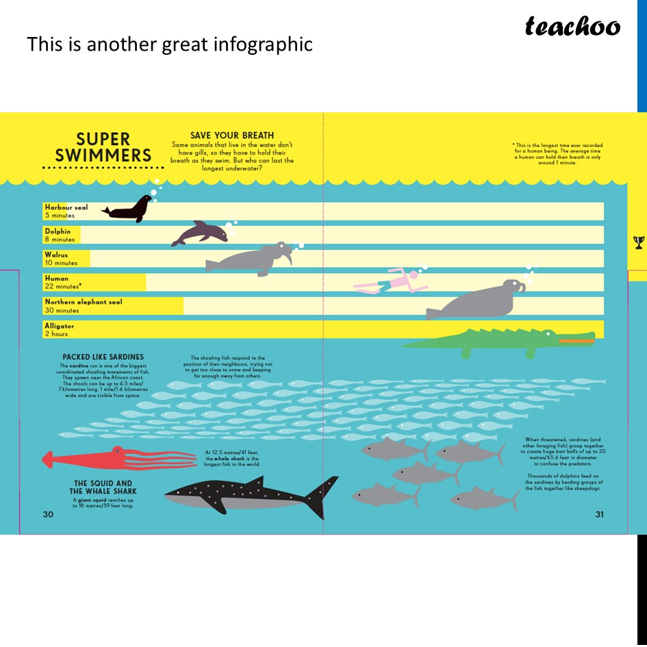 part 4 - Infographics - Infographics - Chapter 4 Class 6 - Data Handling and Presentation (Ganita Prakash) - Class 6 (Ganita Prakash & Old NCERT)
