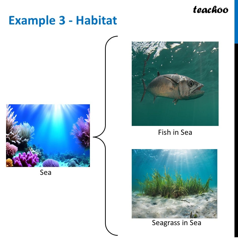 part 4 - Habitat - Concepts - Chapter 2 Class 6 - Diversity in the living world (Curiosity) - Class 6