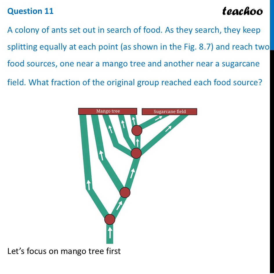 A colony of ants set out in search of food. As they search, they keep - Figure it out - Page 196 to 198