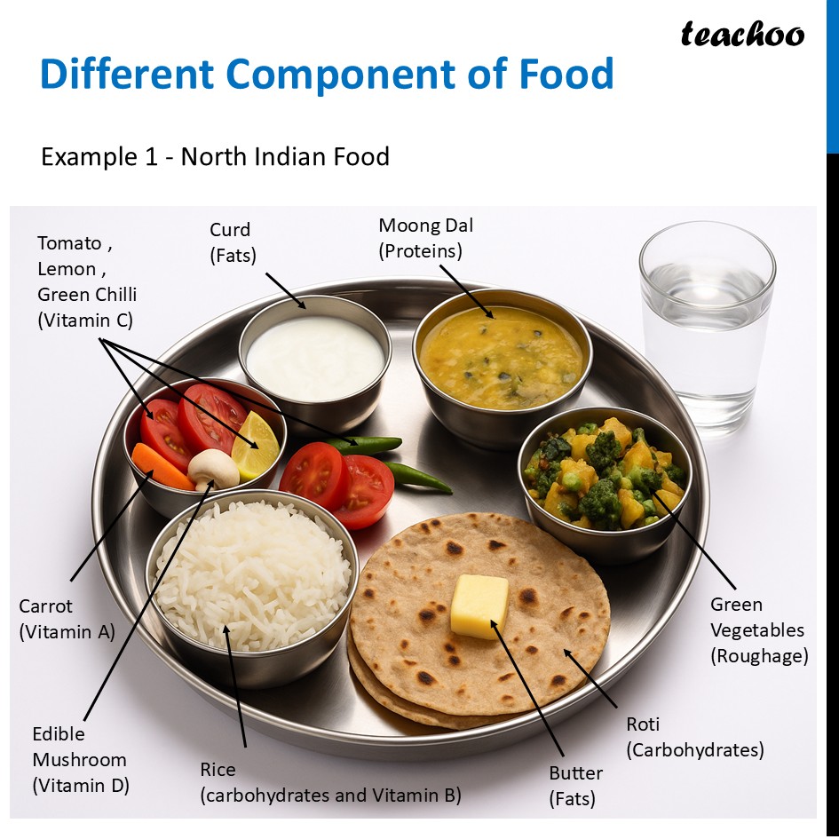 [Mindful Eating: A path to healthy body] Different Components of Food - Concepts