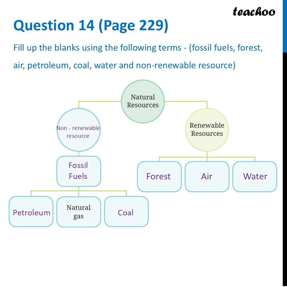 Fill up the blanks] fossil fuels, forest, air, petroleum, coal, water - Questions at the end of chapter (Page 227,228 & 229)