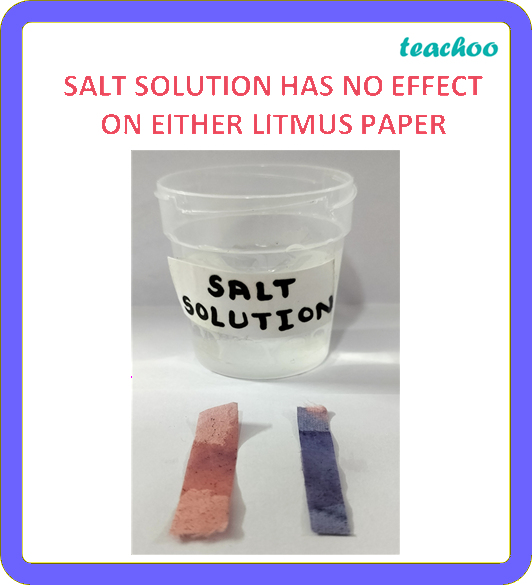 part 17 - 2.1.1 Litmus as an Indicator - Concepts - Chapter 2 Class 7 - Exploring Substances: Acidic, Basic, and Neutral - Class 7