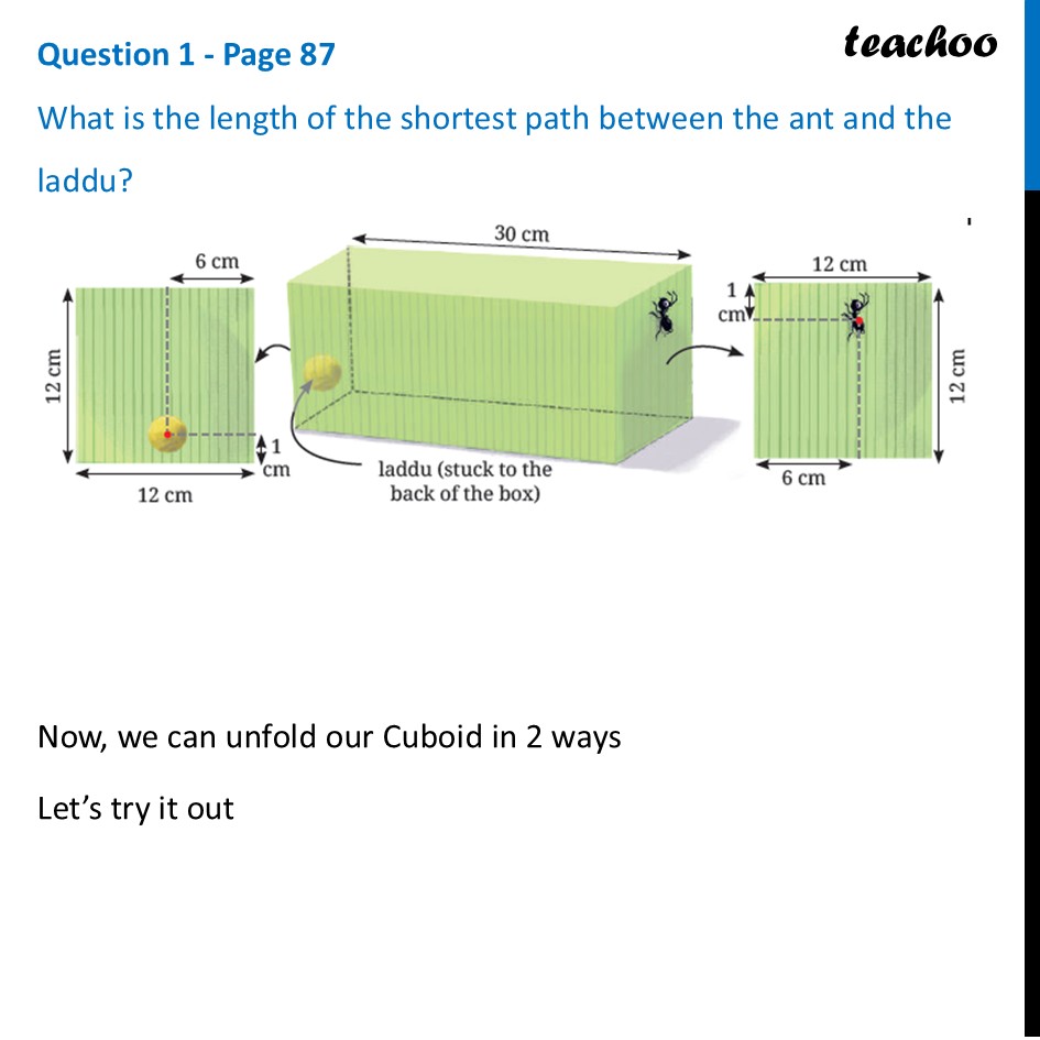 What is the length of the shortest path between the ant and the laddu? - Shortest Paths on a Cube