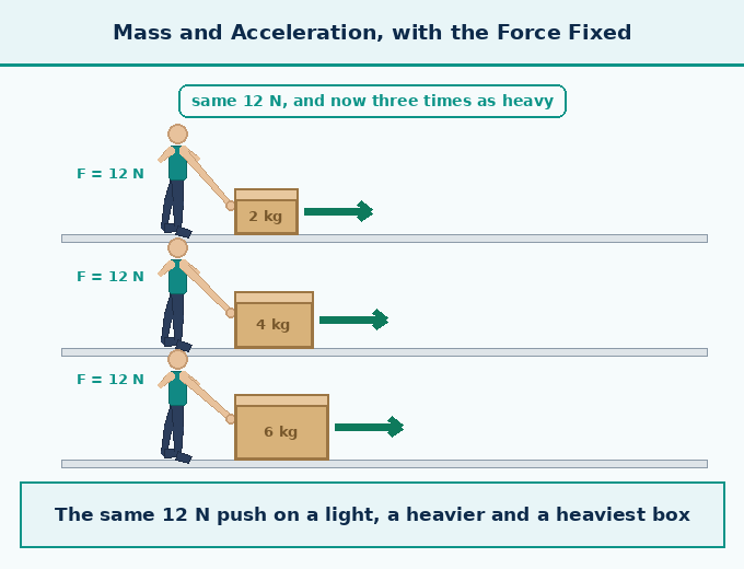 part 5 - 6.5 Newton's Second Law of Motion - Concepts - Chapter 6 - How Forces Affect Motion (Exploration) - Class 9 (Exploration)