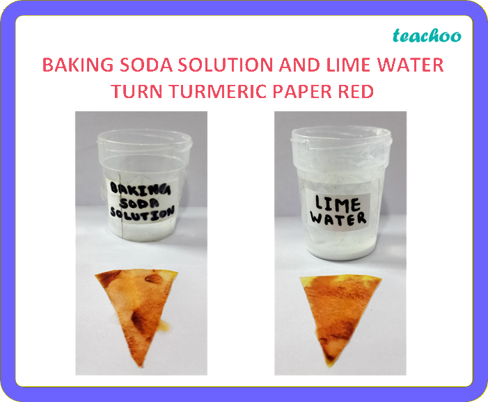 part 4 - 2.1.3 Turmeric as an Indicator - Concepts - Chapter 2 Class 7 - Exploring Substances: Acidic, Basic, and Neutral - Class 7