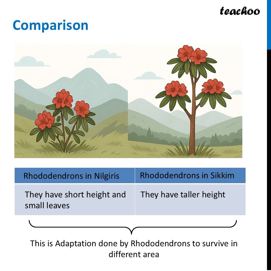 part 9 - Adaptations - Concepts - Chapter 2 Class 6 - Diversity in the living world (Curiosity) - Class 6