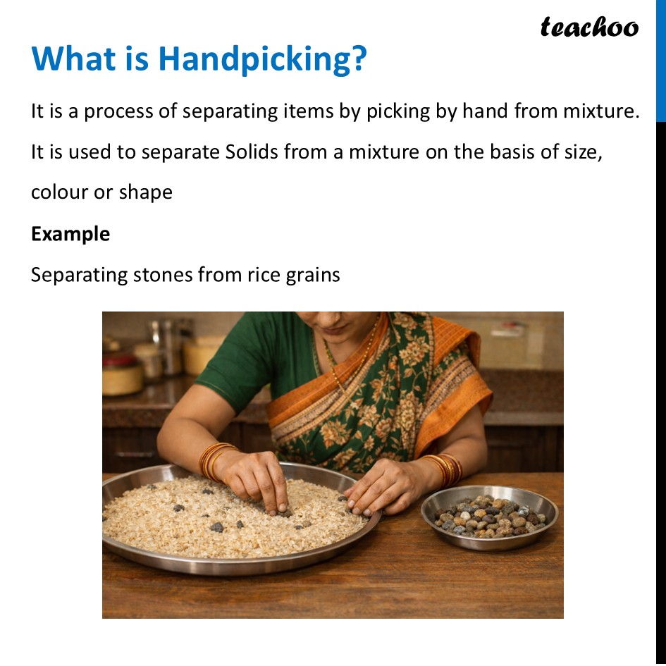[Class 6 Curiosity] What is Handpicking? - Chapter 9 Science - Teachoo - Concepts