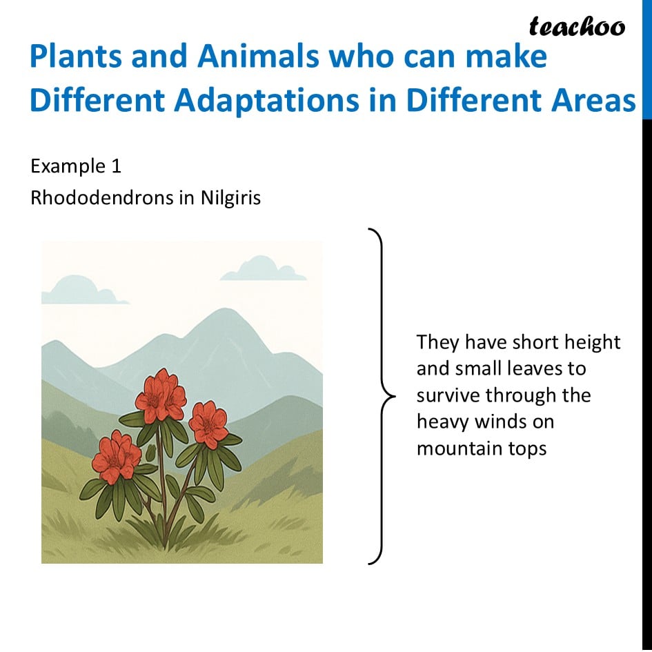 part 7 - Adaptations - Concepts - Chapter 2 Class 6 - Diversity in the living world (Curiosity) - Class 6