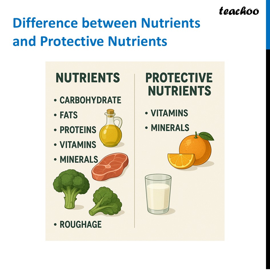 part 38 - Different Components of Food - Concepts - Chapter 3 Class 6 - Mindful Eating: A path to healthy body (Curiosity) - Class 6