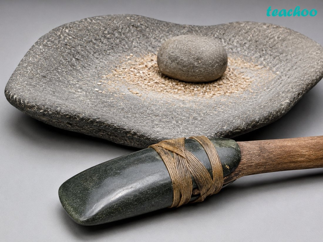 How were Neolithic tools differe - Early Humans and Begin - [Teachoo] - Concepts