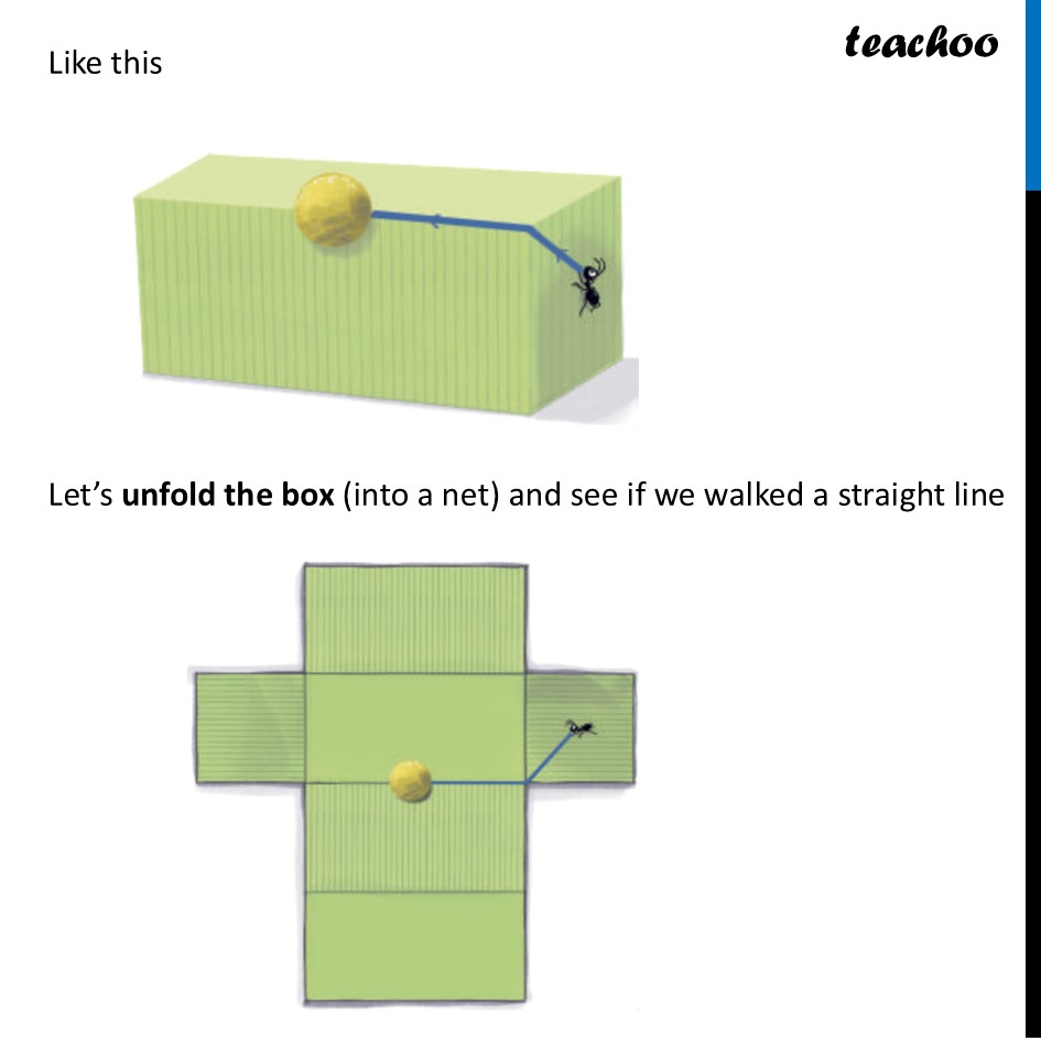 part 5 - Shortest Paths on a Cube - Shortest Paths on a Cube - Chapter 4 Class 8 - Exploring Some Geometric Themes (Ganita Prakash II - Class 8 (Ganita Prakash - 1, 2 & Old NCERT)