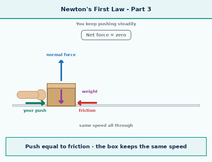part 4 - 6.4 Newton's First Law of Motion - Concepts - Chapter 6 - How Forces Affect Motion (Exploration) - Class 9 (Exploration)