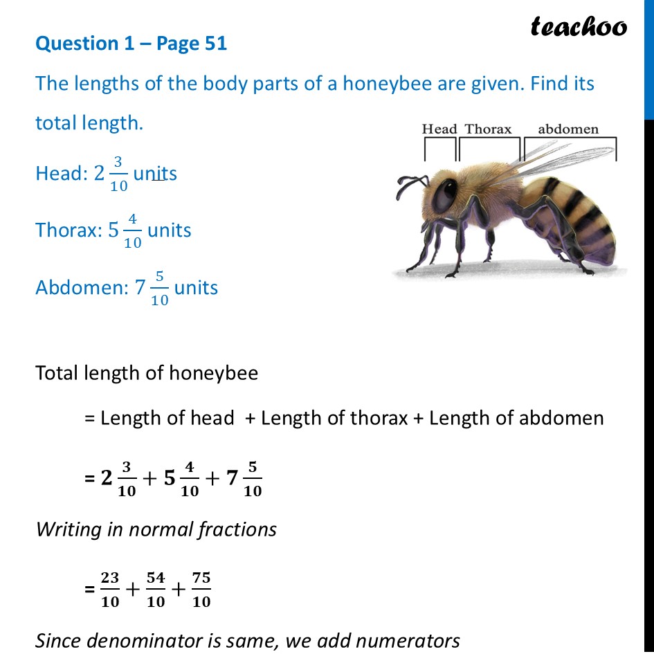 The lengths of the body parts of a honeybee are given. Find its total - Tenth