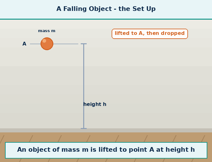 Animation for "How do we show this with formulas? (Falling object)". A short looping GIF, three or four beats, drawn in the flat classroom style of the chapter. Beat 1 — Suppose an object of mass m is lifted to point A at height h and dropped. Beat 2 — Its initial velocity u = 0. Beat 3 — After falling for time t, it reaches point B. Label every arrow and quantity, name the direction each force or motion acts in, and hold the last frame for a moment before the loop starts again.
