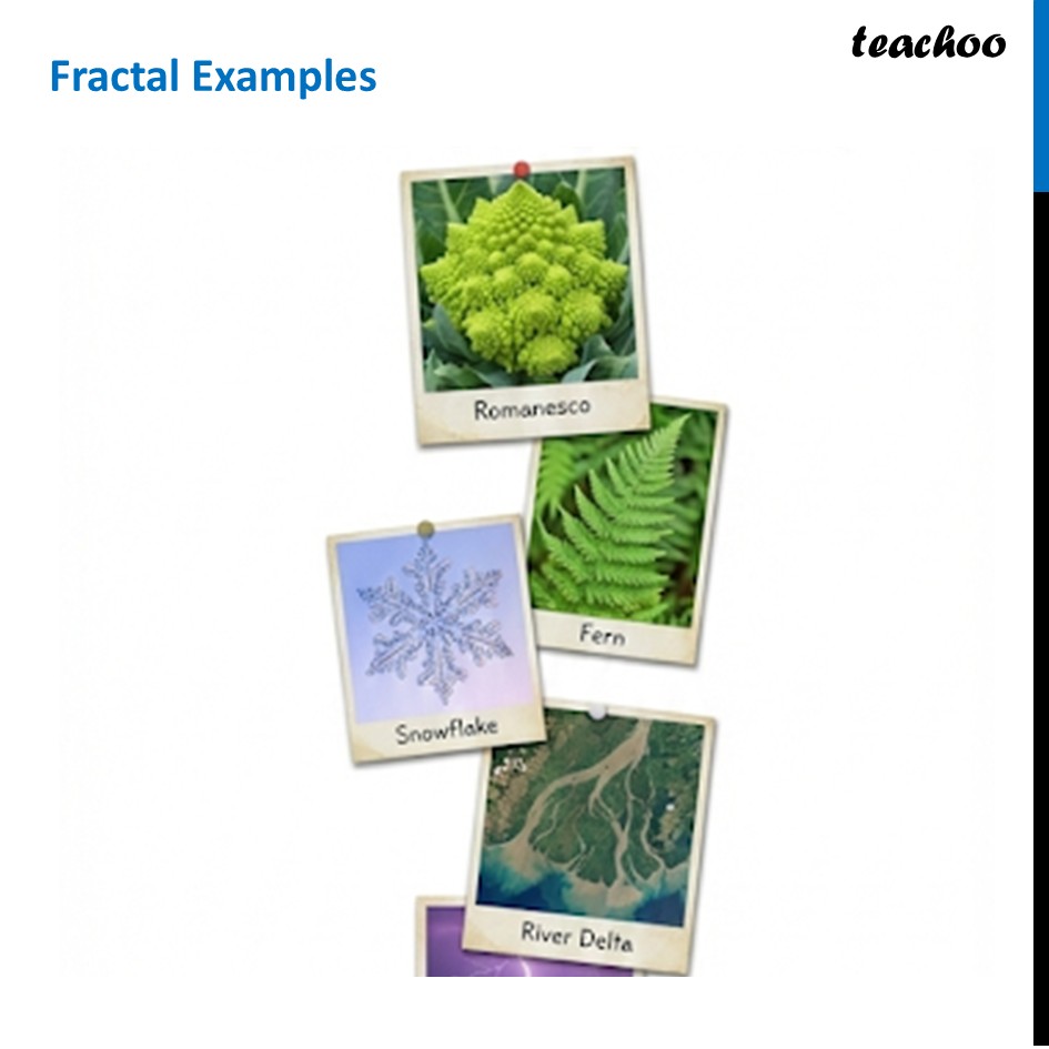 Fractal Examples - 11+ examples from Real life - Teachoo - Fractals