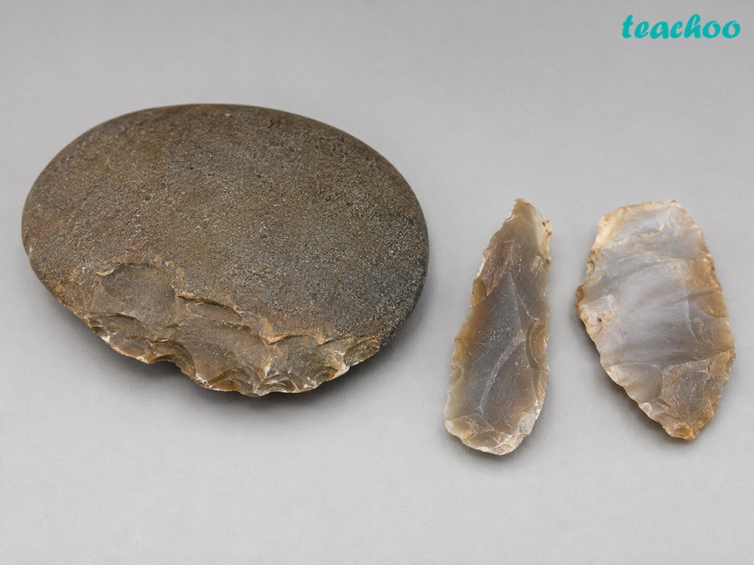 What kind of tools did they make - Early Humans and Begin - [Teachoo] - Concepts