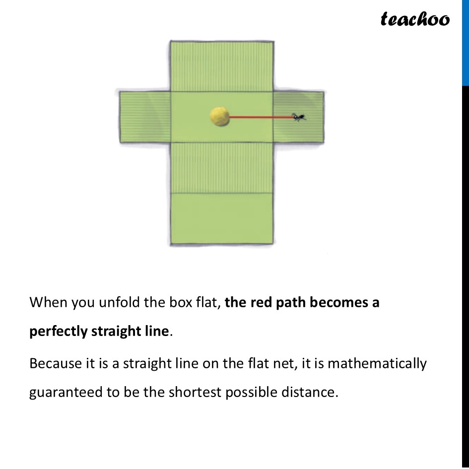 part 3 - Shortest Paths on a Cube - Shortest Paths on a Cube - Chapter 4 Class 8 - Exploring Some Geometric Themes (Ganita Prakash II - Class 8 (Ganita Prakash - 1, 2 & Old NCERT)
