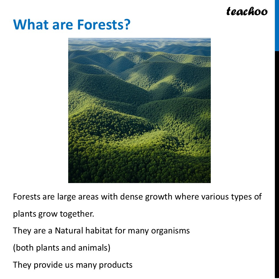 What are Forests? [With Example] Class 6 Science - Nature's Treasures - Concepts