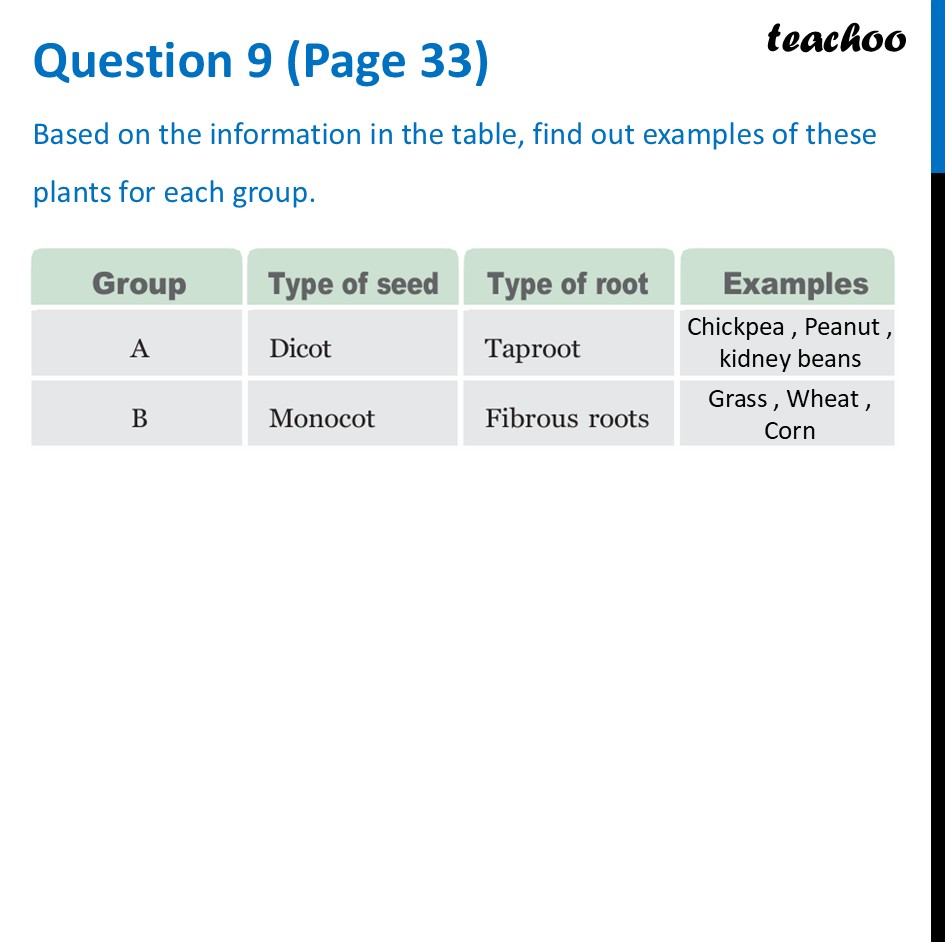 Based on the information in the table, find out examples of these - Questions at the end of chapter (Page 31, 32 & 33)